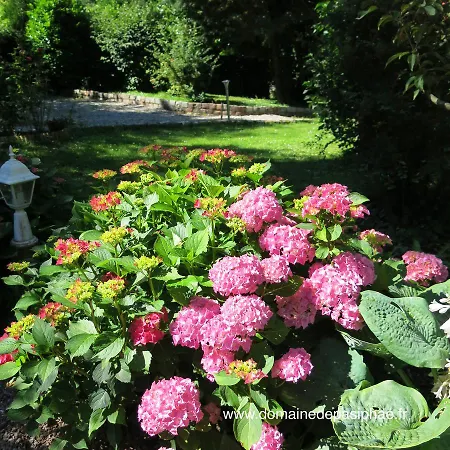 Le Domaine De Pasiphae * Vimoutiers
