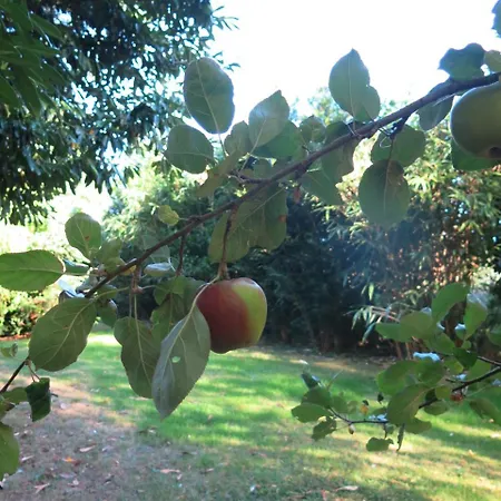 Le Domaine De Pasiphae Vimoutiers