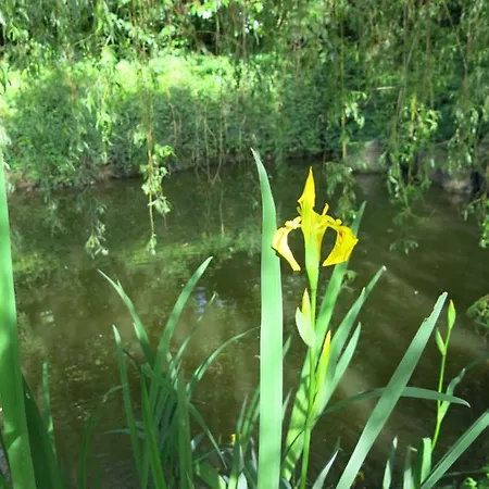Le Domaine De Pasiphae
